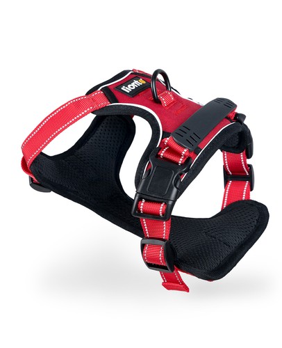 Lionto hundegeschirr anti zug - lionto,