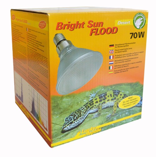 Bright sun desert - uv, flood