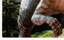 Rewe WWF Tier Abenteuer