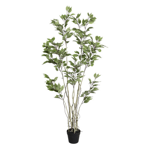 Künstlicher ficusbaum topf - ficusbaum,