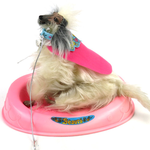 Vintage barbie hund dog beauty - vintage,