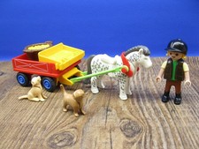 Ponykutsche mit Zubehör