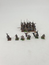 Warhammer Fantasy Dunkelelfen
