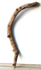 Treibholz Schwemmholz