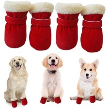 Hundeschuhe Pfotenschutz