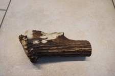 Rothirsch Hornstück Geweihstange Hirschhorn Messerbau Horndekoration