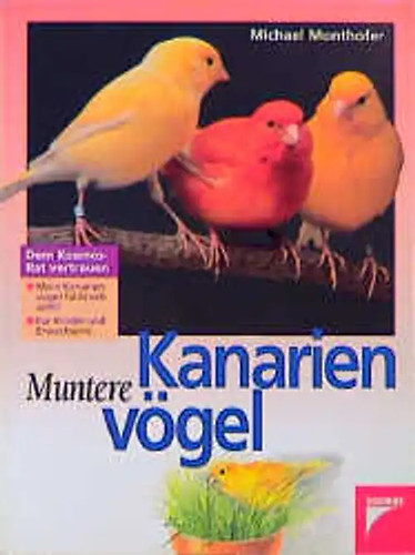 Muntere kanarienvögel - muntere,