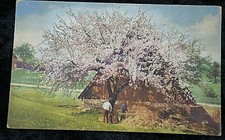 54763 Photochromie Postkarte