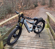 Elektrofahrrad Dual Motor