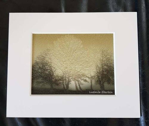 Abstrakt fotografik bäume - abstrakt,,