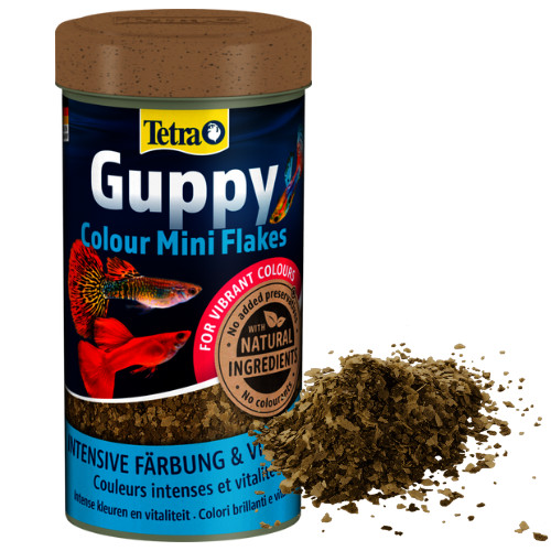 100 tetra guppy colour - tetra,