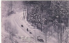 Bad Harzburg, Rodelbahn im