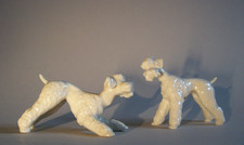 2 Pudel Hunde Porzellan Figuren weiß  7cm l Lorenz Hutschenreuther gemarkt LHR