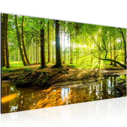 Wandbild wald bilder xxl - bilder,