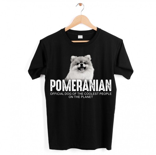 Pomeranian pom zwergspitz hund - pom,