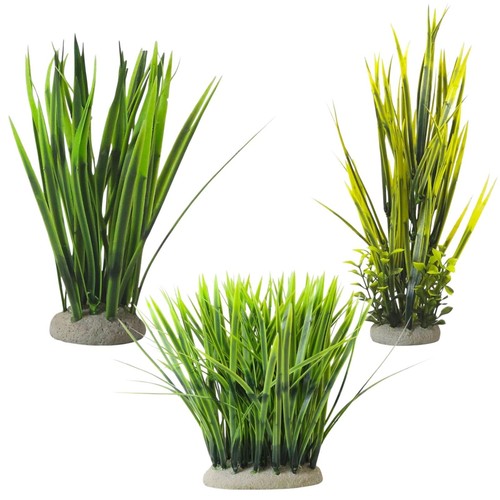 Nobby aqua ornaments - nobby,