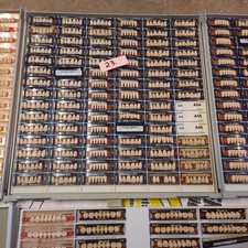 Frontzähne diverser Hersteller Wie Detrey, Vita. Bioplus, Vitapan und Sonstige