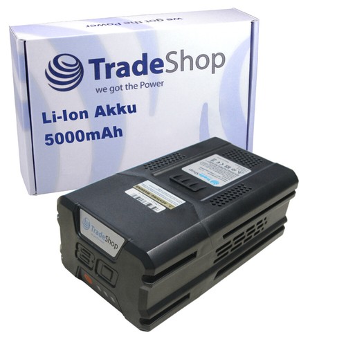 Ion akku 80v 5000mah für - 80v,