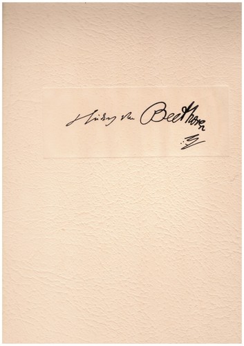 Ludwig van beethoven - beethoven, genius