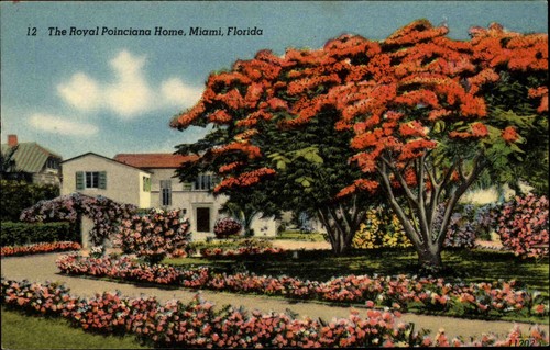 Miami amerika usa florida - amerika,