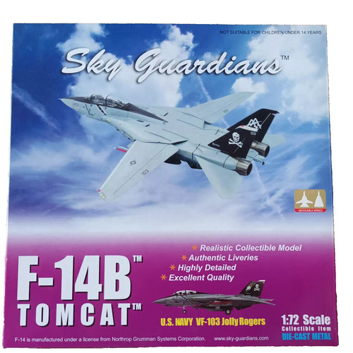 Sky guardians grumman 14b - sky, f-14b