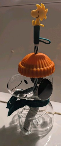 Starbucks peanuts snoopy - x,