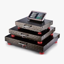 Electronic Platform Scale with