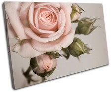 Shabby Chic Rose Love Flower