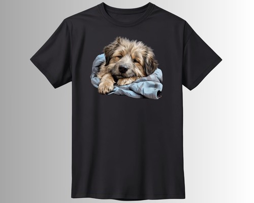Süßer schlafender hund - süßer,
