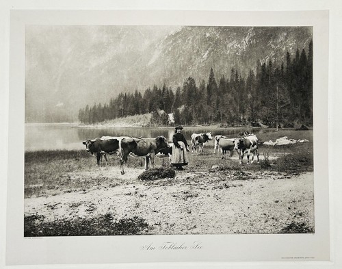 Toblach toblacher see - toblach,