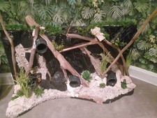 Schöne Aquarium 3 D Rückwand