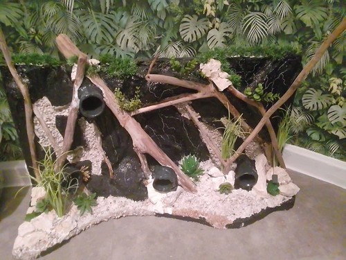 Schöne aquarium rückwand - aquarium, d