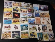 Seltene WWF Sammelsticker: 39 Sticker, Panini, (Konvolut 2)