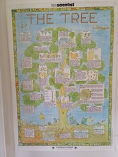 The New Scientist Tree Poster