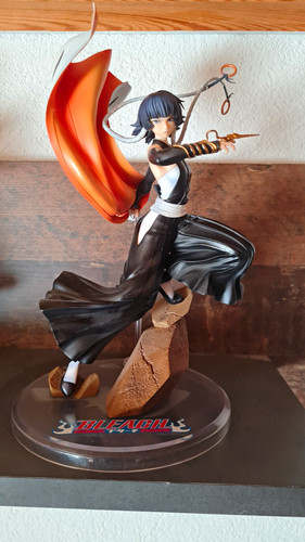 Bleach yoruichi shihouin anime - yoruichi,