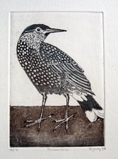 Frydl Prechtl-Zuleeg (geb