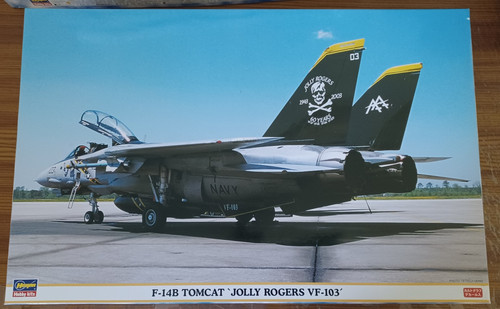 14b tomcat jolly rogers - 1:48,
