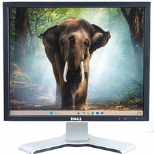Dell 1907FP 19'' TFT LCD PC