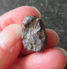 SELTENER NAMIBISCHER TSESIT