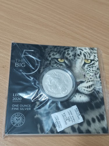 Big five leopard - big, 5