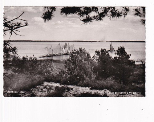 Uralte steinhuder meer - steinhuder,