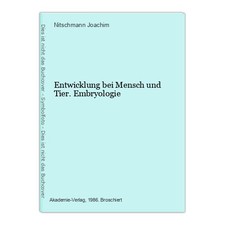 Entwicklung bei Mensch und
