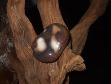 Helgoland Düne Feuerstein