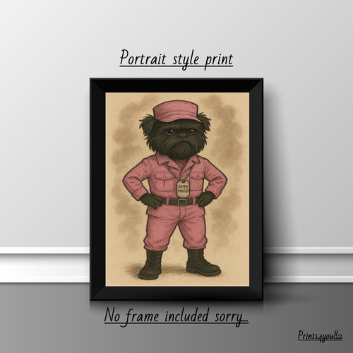 Affenpinscher haustier hund - haustier,