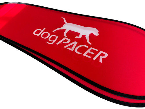 Dogpacer treadmill red - dogpacer,