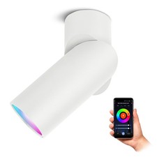 TOBI-L Spot Aufbaustrahler