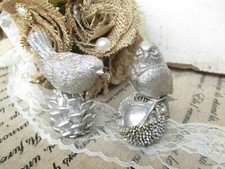 Zapfen Kastanie mit Vogel