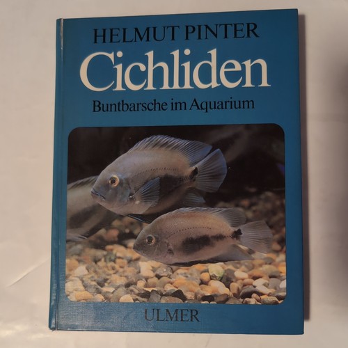 Cichliden buntbarsche - cichliden,