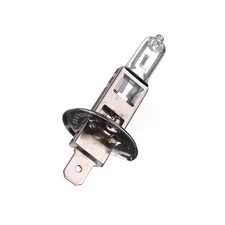 H1 12V 100W Halogen Glühbirne