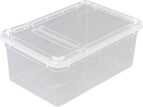Transparente